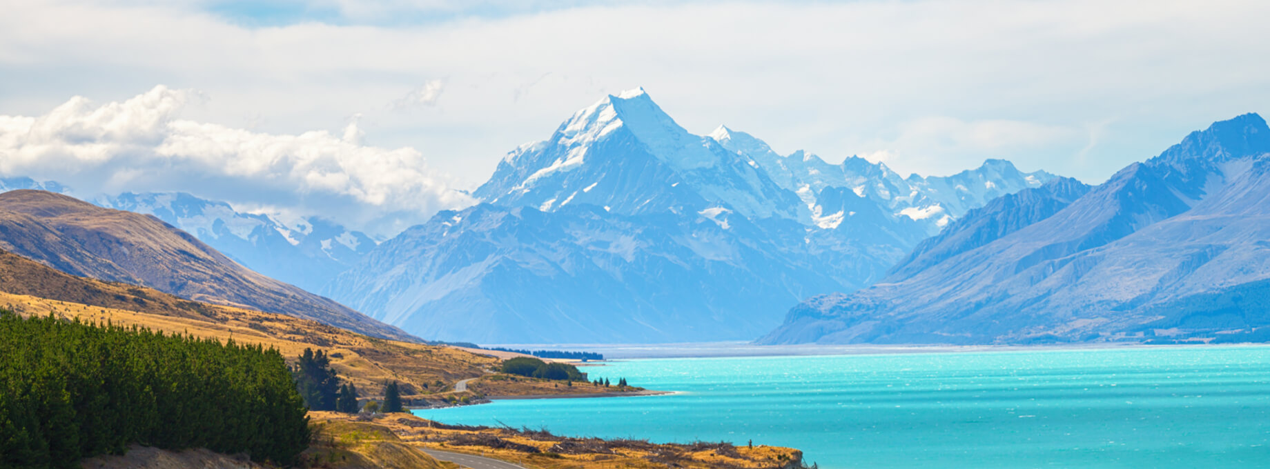 ふたつの主要市場 ニュージーランド