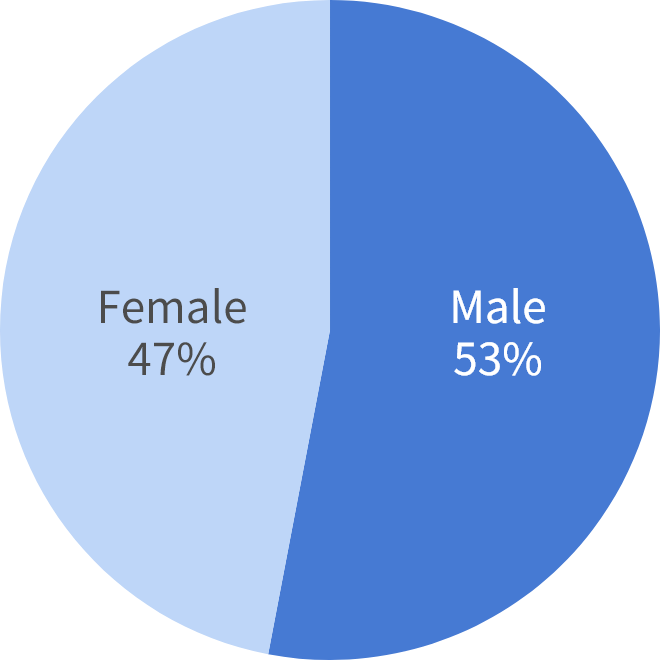 Pie chart showing gender breakdown at Optimus