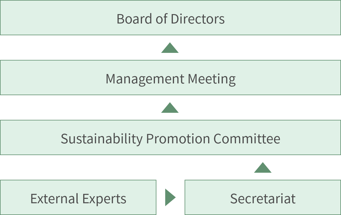 Sustainability Governance Structure